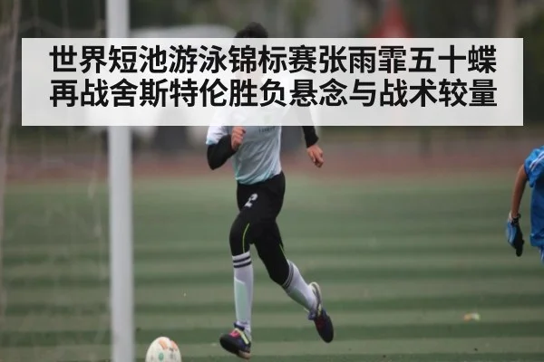 世界短池游泳锦标赛张雨霏五十蝶再战舍斯特伦胜负悬念与战术较量