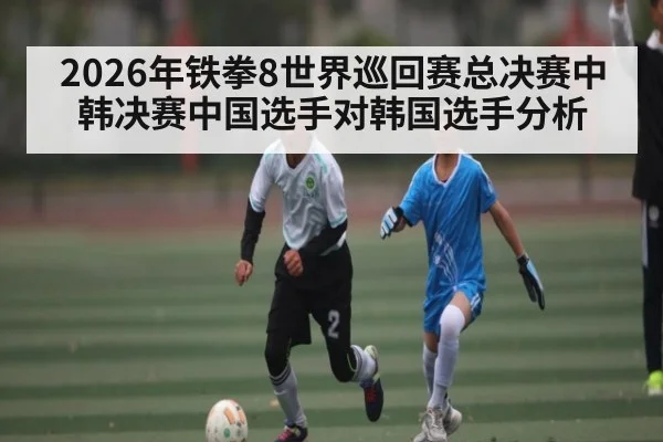 2026年铁拳8世界巡回赛总决赛中韩决赛中国选手对韩国选手分析 - kaiyun